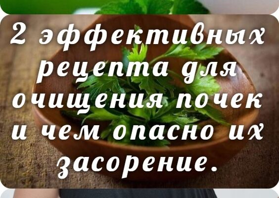 2 эффективных рецепта для очищения почек и чем опасно их засорение. Причины и первые симптомы болезни почек