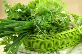 2 потрясающих рецепта звезды современной кулинарии