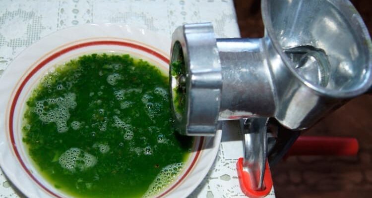 Алоэ, мед, кагор — эта смесь поднимет даже мертвого