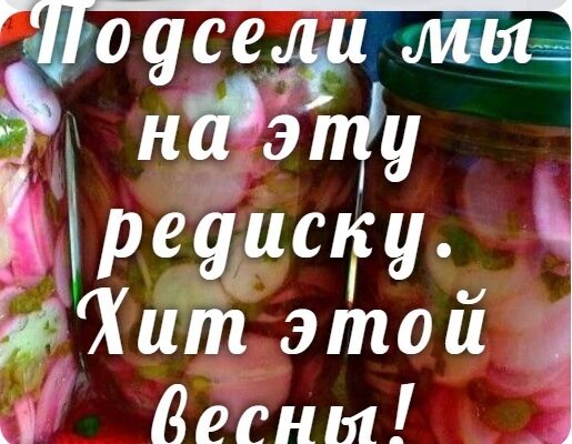 Подсели мы на эту редиску. Хит этой весны!