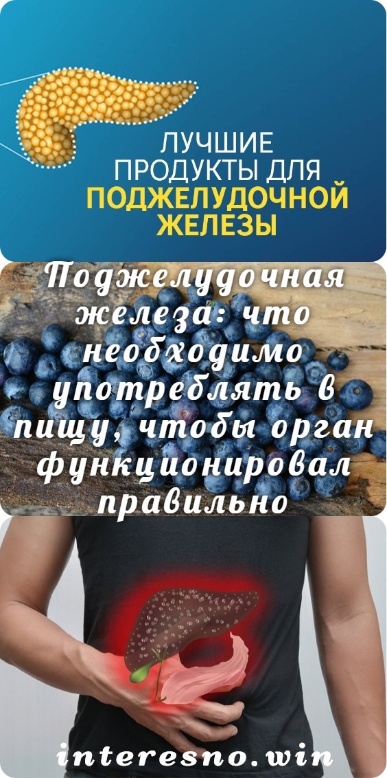 Поджелудочная железа: что необходимо употреблять в пищу, чтобы орган функционировал правильно