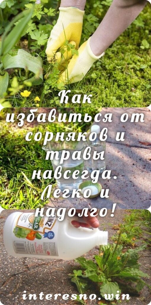 Работающий способ, как избавиться от сорняков и травы навсегда. Легко и ...