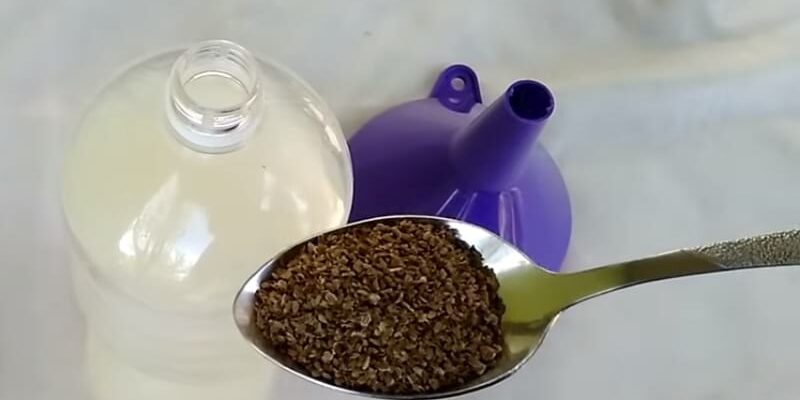 Хитрый способ посадки моркови
