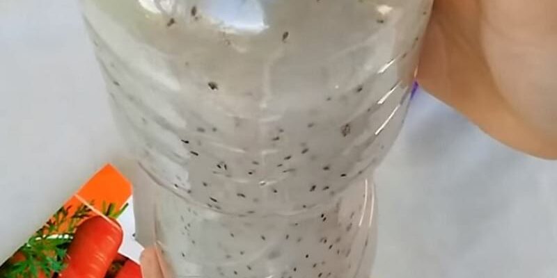 Хитрый способ посадки моркови