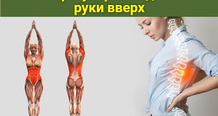 Зачем регулярно поднимать руки вверх