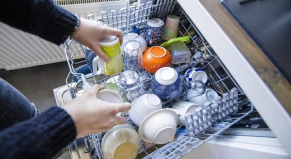 Как уничтожить плесень и бактерии в стиральной и посудомоечной машине