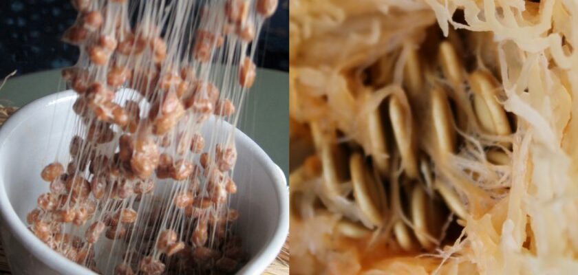 Помнить всё: 3 основных продукта для улучшения памяти