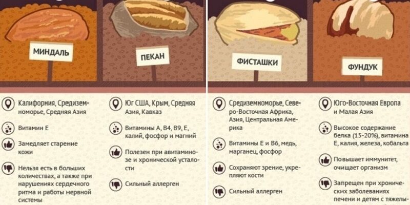 Грецкие орехи молочной спелости поправят здоровье на долгие годы! Орехи для крови, сердца и ума.