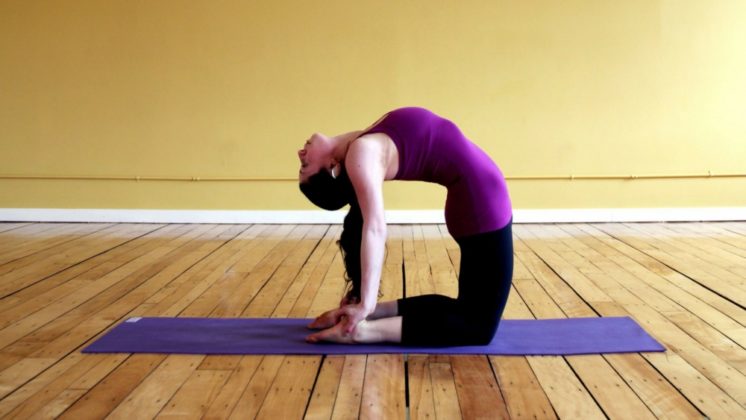 Йога для спины и позвоночника: домашний комплекс упражнений для начинающих