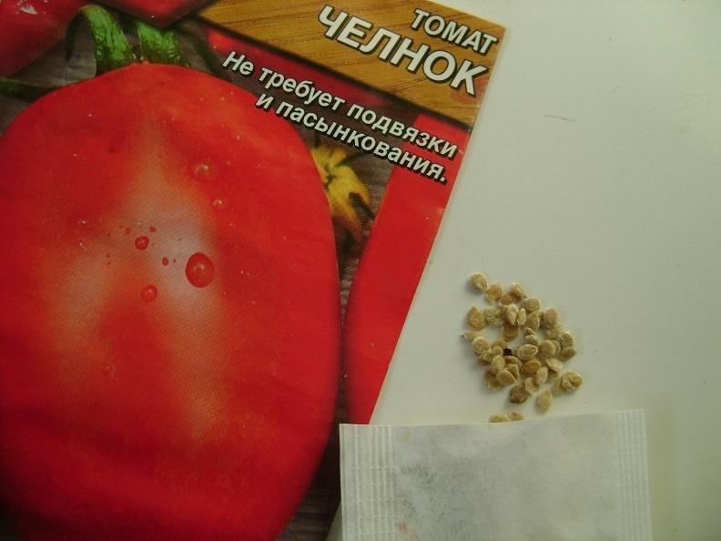 Полезные советы: как правильно выращивать рассаду томатов