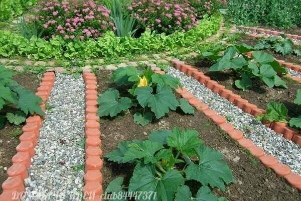 Как сделать из грядок произведение искусства: удачные идеи