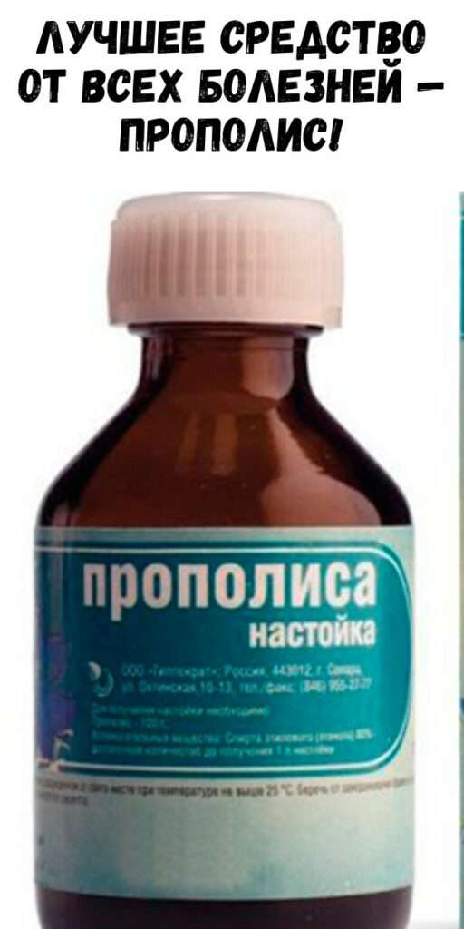 Лучшее средство от всех болезней — прополис! - Журнал для женщин