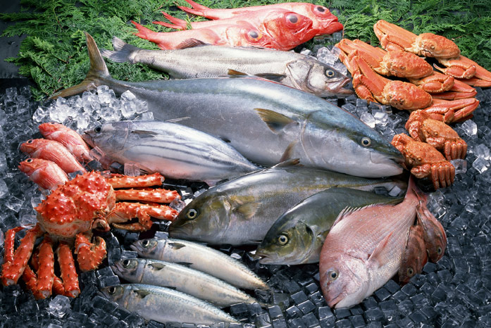 9 видов рыбы, которые рекомендуем не употреблять — они опасны!
