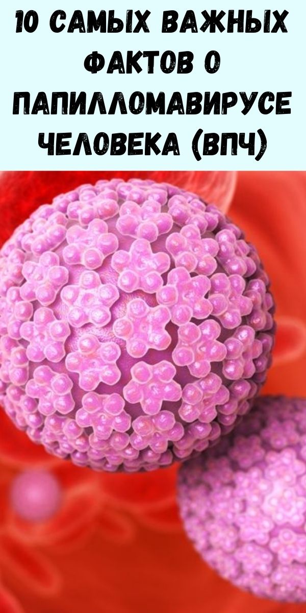 10 самых важных фактов о папилломавирусе человека (ВПЧ)