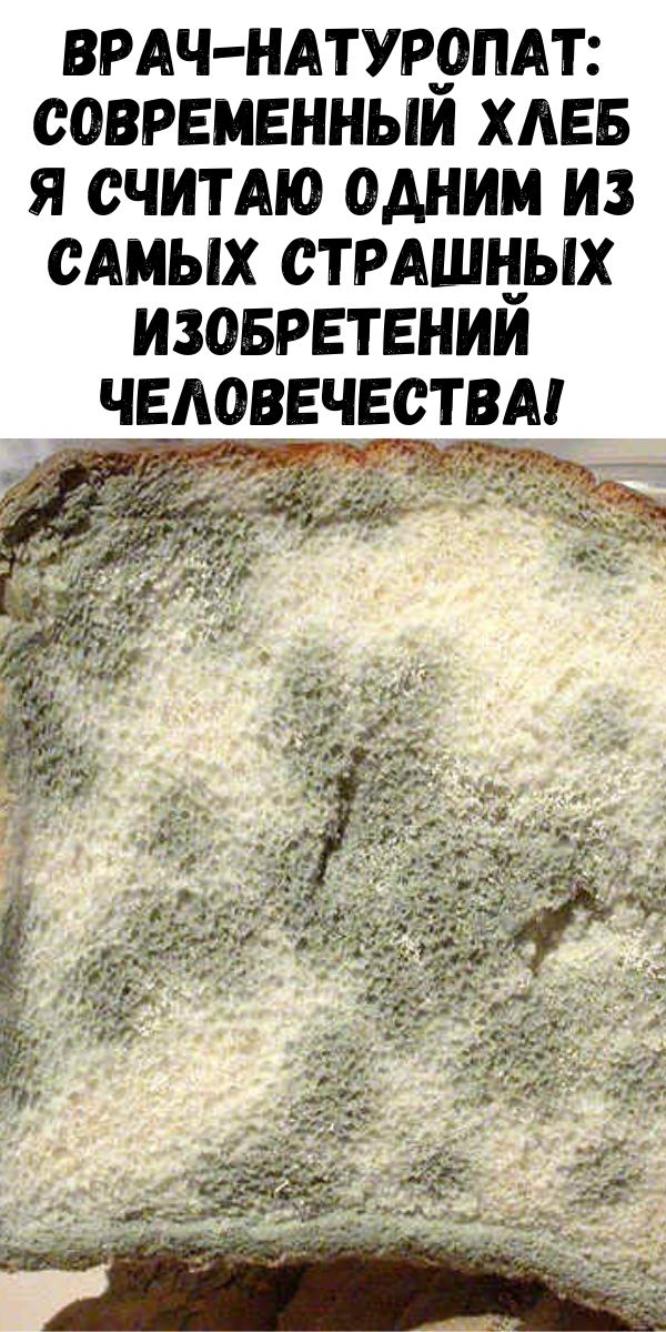Врач-натуропат: Современный хлеб я считаю одним из самых страшных изобретений человечества!