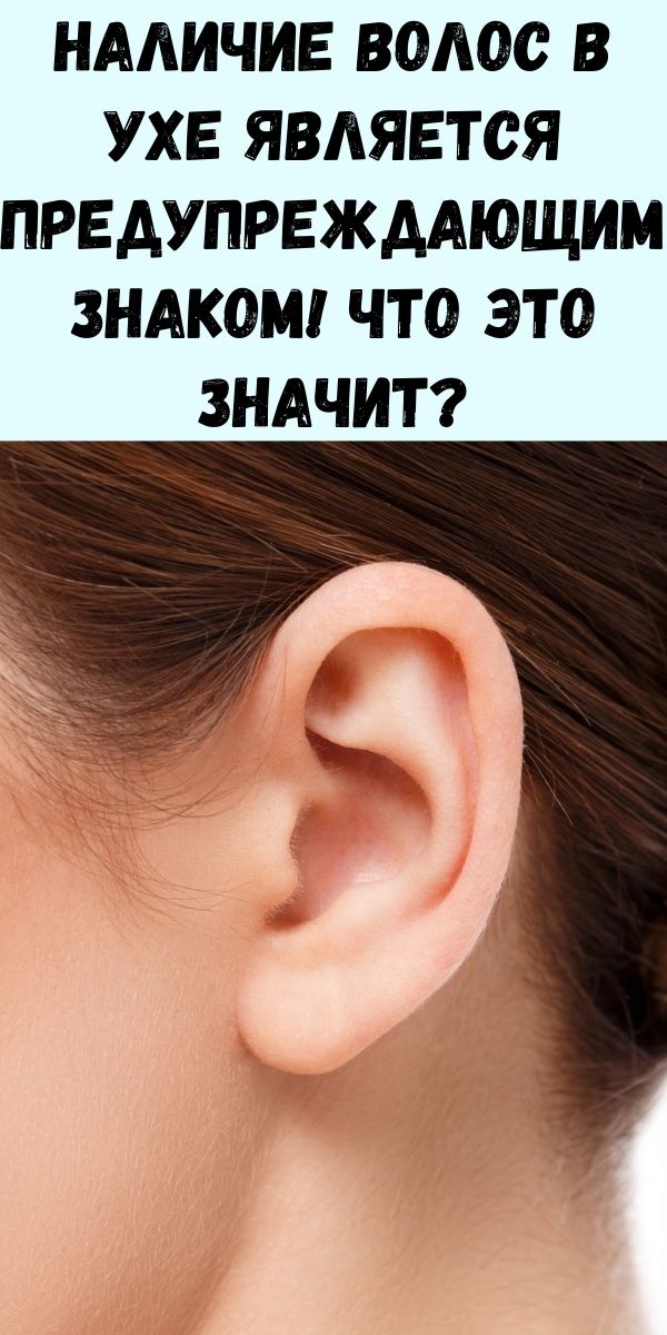 Наличие волос в ухе является предупреждающим знаком! Что это значит?
