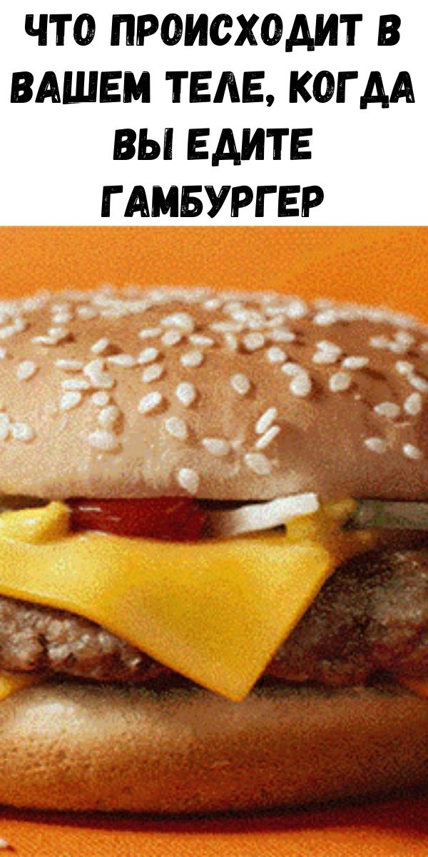 Что происходит в вашем теле, когда вы едите гамбургер
